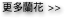 蘭花擺設 orchid flower decoration